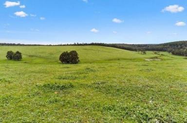 Livestock For Sale - WA - Carlotta - 6275 - Prime Rural Lifestyle: Stunning 177-Acre Property South of Nannup  (Image 2)