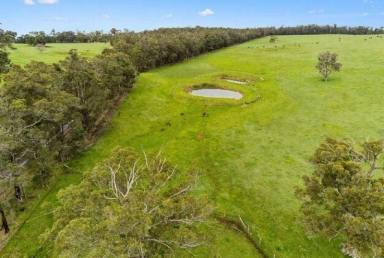 Livestock For Sale - WA - Carlotta - 6275 - Prime Rural Lifestyle: Stunning 177-Acre Property South of Nannup  (Image 2)