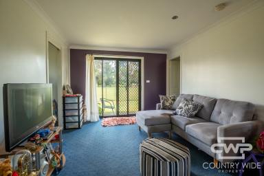 House For Sale - NSW - Glen Innes - 2370 - Solid Investment!!!  (Image 2)