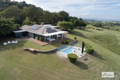 House For Sale - QLD - Tallegalla - 4340 - Floating in the Clouds on 16 Acres  (Image 2)