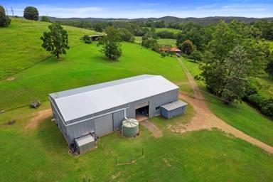 Lifestyle For Sale - QLD - Wilsons Pocket - 4570 - NOT JUST A SHED-A DREAM UNFOLDS!  (Image 2)