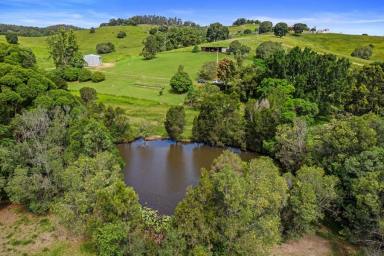 Lifestyle For Sale - QLD - Wilsons Pocket - 4570 - NOT JUST A SHED-A DREAM UNFOLDS!  (Image 2)