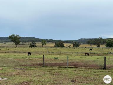 Mixed Farming Sold - NSW - Gungal - 2333 - Price Guide $1,250,000 - $1,300,000  (Image 2)