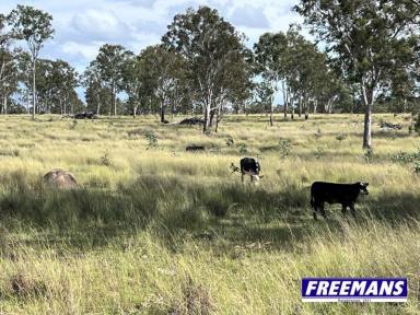Other (Rural) For Sale - QLD - Brigooda - 4613 - 497.94 hectares of sprawling grazing country  (Image 2)