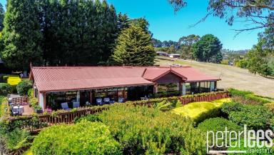 House For Sale - TAS - Hillwood - 7252 - Unique Home with Stunning River Views  (Image 2)