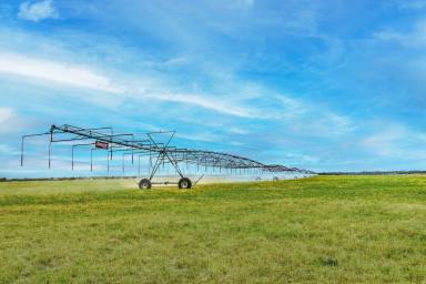 Livestock Sold - VIC - Gelliondale - 3971 - Irrigated South Gippsland Powerhouse  (Image 2)