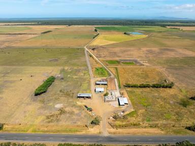 Livestock Sold - VIC - Gelliondale - 3971 - Irrigated South Gippsland Powerhouse  (Image 2)