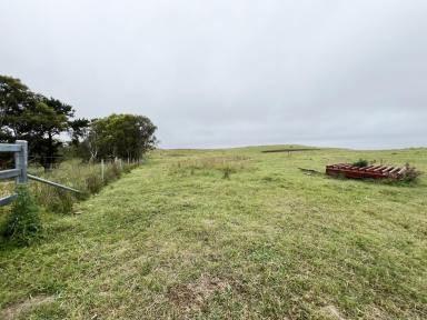 Livestock For Sale - NSW - Bannaby - 2580 - 250 Acres, Magnificent Views, Grazing Country, Road Frontage, Zoned RU2,  (Image 2)