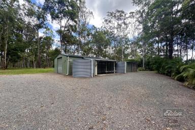 House Sold - QLD - Bauple - 4650 - PERFECT DUAL LIVING OPPORTUNITY IN BAUPLE!  (Image 2)