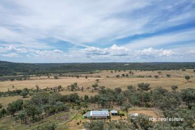Acreage/Semi-rural For Sale - NSW - Inverell - 2360 - A RECIPE FOR RELAXATION  (Image 2)