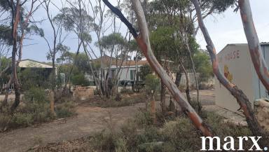 Other (Rural) For Sale - SA - Annadale - 5356 - PEACEFUL & SECURE BUSH HIDEAWAY  (Image 2)