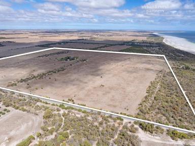 Acreage/Semi-rural Tender - SA - The Pines - 5577 - Ready for a Sea Change * This property offers 145 Acres with an old house on it Renovate or Demolish * Lifestyle * Hobby Farm *  (Image 2)