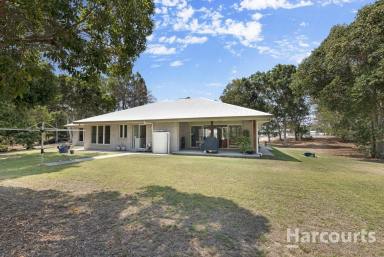 House For Sale - QLD - Moore Park Beach - 4670 - Spacious family home minutes from the beach!  (Image 2)