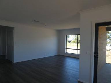 House Leased - VIC - Lucknow - 3875 - BRAND NEW HOME  (Image 2)