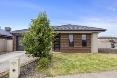 House Leased - VIC - Delacombe - 3356 - Inviting Family Home  (Image 2)