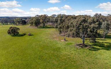 Residential Block For Sale - VIC - Axe Creek - 3551 - Exclusive Land Release  (Image 2)