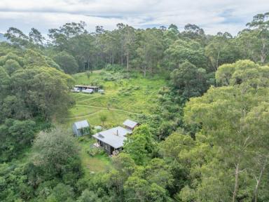 Acreage/Semi-rural For Sale - NSW - Brogo - 2550 - PRIVATE OFF-GRID LIVING  (Image 2)