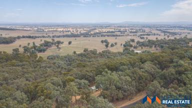 Acreage/Semi-rural Sold - VIC - Markwood - 3678 - 13.81 Acres with Western Views  (Image 2)