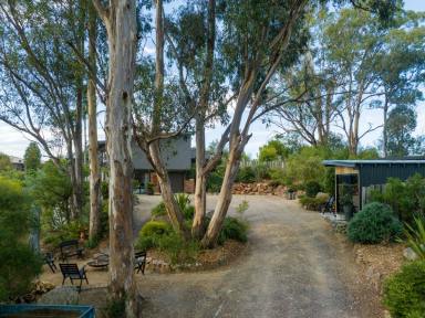House For Sale - NSW - Tathra - 2550 - THE BEST OF COASTAL LIVING  (Image 2)