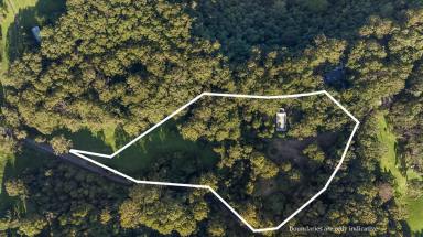 House For Sale - NSW - Woodhill - 2535 - Tranquil Land Offering  (Image 2)