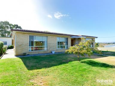 House For Sale - TAS - Ouse - 7140 - More than one opportunity...  (Image 2)