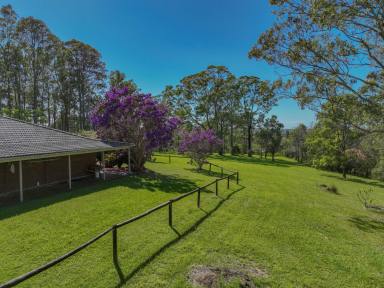 Acreage/Semi-rural For Sale - NSW - Hallidays Point - 2430 - Ocean Views, Privacy and Subdivision Potential.  (Image 2)