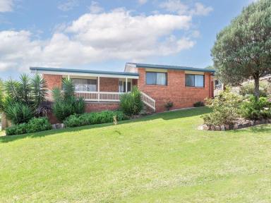 House For Sale - NSW - Bega - 2550 - SOLID BRICK HOME IN A GREAT LOCATION  (Image 2)