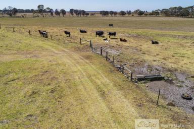 Mixed Farming For Sale - SA - Furner - 5280 - "SPIONKOP"  A great start out block!  (Image 2)