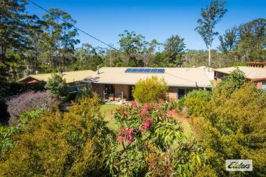 House For Sale - NSW - Kalaru - 2550 - CHARMING, COMFORTABLE & INVITING  (Image 2)