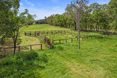 Residential Block For Sale - QLD - Lower Wonga - 4570 - COUNTRY LIVING AT ITS BEST  (Image 2)