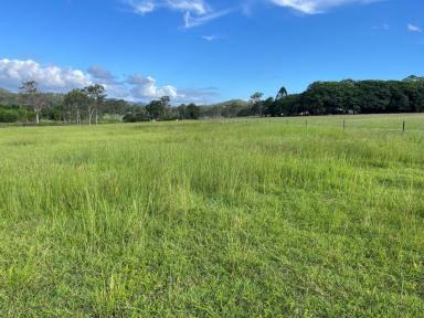 Residential Block For Sale - QLD - Kilkivan - 4600 - BUILD YOUR DREAM AND BRING YOUR HORSE  (Image 2)