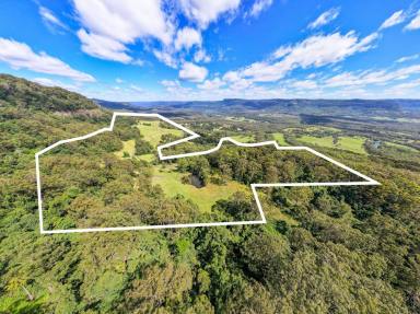 Business For Sale - NSW - Kangaroo Valley - 2577 - SPECTACULAR 172 ACRES - SUBDIVIDED SOUTH COAST NSW  (Image 2)