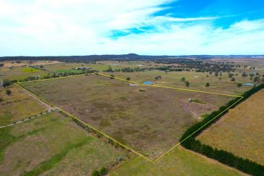 Other (Rural) For Sale - NSW - Goulburn - 2580 - Private Rural Location  (Image 2)