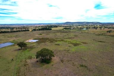 Other (Rural) For Sale - NSW - Goulburn - 2580 - Private Rural Location  (Image 2)