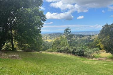 Acreage/Semi-rural For Sale - QLD - Sunshine Coast - 4572 - Unparalleled Opportunity Near the Clouds in Beautiful Hinterland  (Image 2)