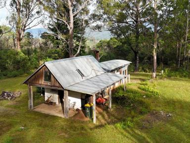 Acreage/Semi-rural Sold - NSW - Bemboka - 2550 - MUD BRICK CABIN, BUSH SETTING, BUILDING ENTITLEMENT  (Image 2)