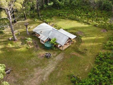 Acreage/Semi-rural Sold - NSW - Bemboka - 2550 - MUD BRICK CABIN, BUSH SETTING, BUILDING ENTITLEMENT  (Image 2)