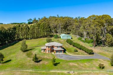 Other (Rural) For Sale - NSW - Oberon - 2787 - EXPANSIVE FAMILY HOME ON 31ACRES*, DEVELOPMENT POTENTIAL, 2HRS FROM SYDNEY!  (Image 2)