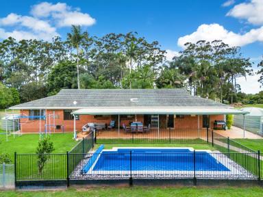 Lifestyle For Sale - NSW - Federal - 2480 - Country Lifestyle - With Income  (Image 2)