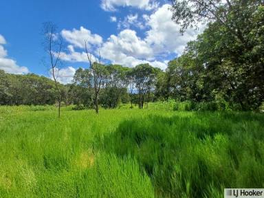 Residential Block For Sale - QLD - Munro Plains - 4854 - STOP SEARCHING, START LIVING  (Image 2)