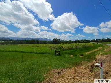 Residential Block For Sale - QLD - Munro Plains - 4854 - STOP SEARCHING, START LIVING  (Image 2)