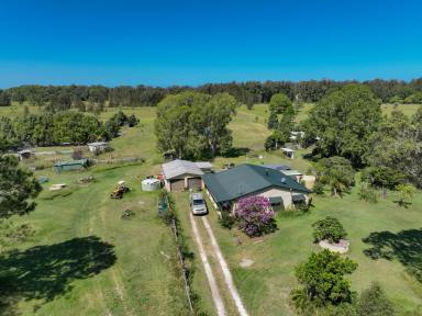 Acreage/Semi-rural For Sale - NSW - Mitchells Island - 2430 - An unparalleled opportunity!  (Image 2)
