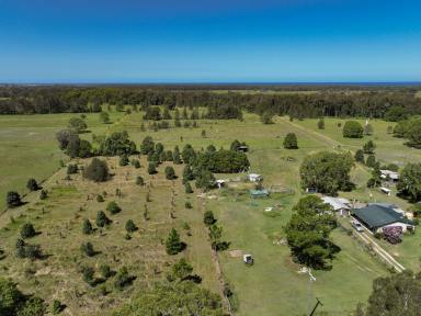 Acreage/Semi-rural For Sale - NSW - Mitchells Island - 2430 - An unparalleled opportunity!  (Image 2)