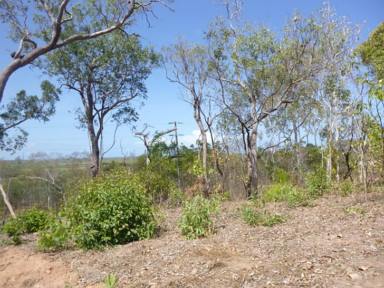 Lifestyle For Sale - QLD - Bambaroo - 4850 - 3.88 HECTARE (OVER 9.5 ACRE) RURAL PROPERTY WITH VIEWS!  (Image 2)