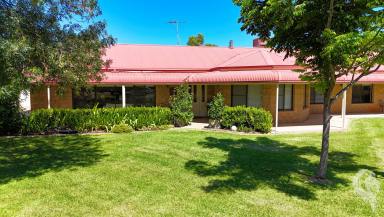 House Sold - NSW - Wee Waa - 2388 - GORGEOUS EXECUTIVE RESIDENCE, SITUATED ON 1 ACRE, IN TOWN!!  (Image 2)