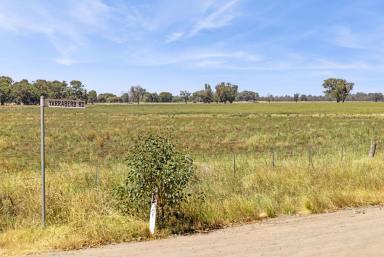 Mixed Farming Sold - VIC - Yarraberb - 3516 - Rare Opportunity in Yarraberb District - 286 Acres  (Image 2)