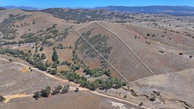 Residential Block For Sale - VIC - Amphitheatre - 3468 - Amazing Views Amongst Rolling Hills!  (Image 2)