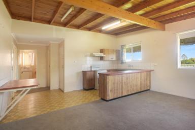 Unit Leased - QLD - Darling Heights - 4350 - Tidy Unit in Darling Heights  (Image 2)