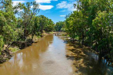 Mixed Farming Sold - NSW - Gooloogong - 2805 - 476ACRES* RIVERFRONT & FLOOD FREE BORE IRRIGATION!  (Image 2)