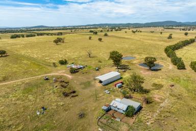 Mixed Farming Sold - NSW - Gooloogong - 2805 - 681ACRES* OF SOFT, ARABLE FARMING/GRAZING COUNTRY!  (Image 2)